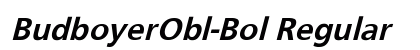 BudboyerObl-Bol Regular preview
