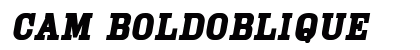 Cam BoldOblique preview
