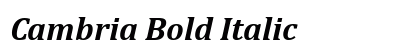 Cambria Bold Italic Preview