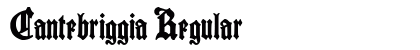 Cantebriggia Regular preview