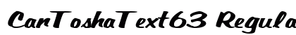 CanToshaText63 Regular preview