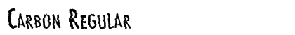 Carbon Regular Preview