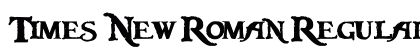 Times New Roman Regular Preview