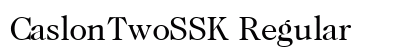 CaslonTwoSSK Regular Preview