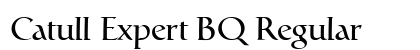 Catull Expert BQ Regular preview