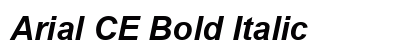Arial CE Bold Italic Preview