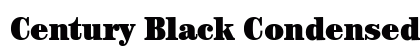 Century Black Condensed SSi Black Condensed preview