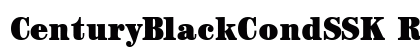 CenturyBlackCondSSK Regular Preview