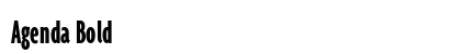 Agenda Bold Preview