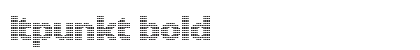 LTPunkt Bold preview