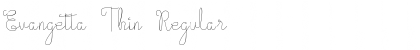 Download Evangetta Thin Font