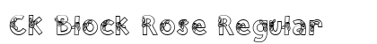 CK Block Rose Regular preview