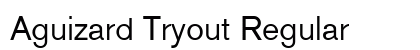 Aguizard Tryout Regular preview