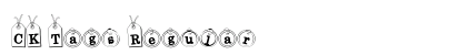CK Tags Regular preview
