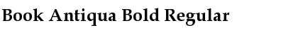 Book Antiqua Bold Regular Font