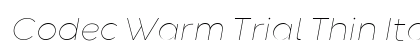 Codec Warm Trial Thin Italic Preview