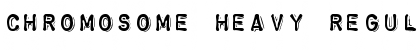 Download Chromosome Heavy Font