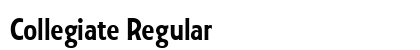 Collegiate Regular preview