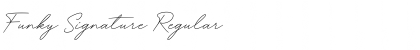 Download Funky Signature Font