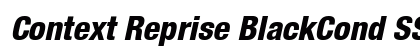 Context Reprise BlackCond SSi Normal preview