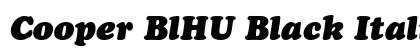 Cooper BlHU Black Italic preview