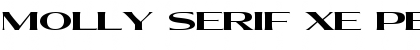 Molly Serif XE PERSONAL Bold Font