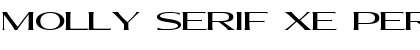 Molly Serif XE PERSONAL Medium Font