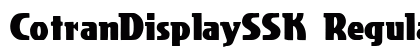 CotranDisplaySSK Regular preview