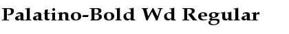 Download Palatino-Bold Wd Font