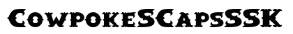 CowpokeSCapsSSK Bold preview