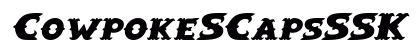 CowpokeSCapsSSK BoldItalic Preview
