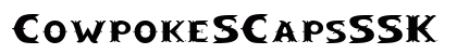 CowpokeSCapsSSK Regular Preview