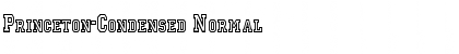 Princeton-Condensed Normal Font