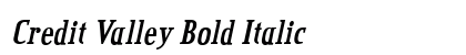 Credit Valley Bold Italic Preview