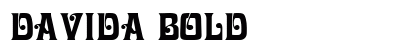 Davida Bold preview