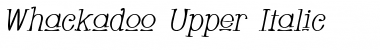 Download Whackadoo Upper Font