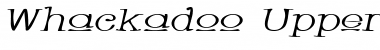 Whackadoo Upper Wide Italic Font