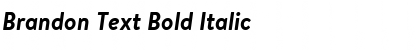 Brandon Text Bold Italic Font