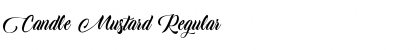 Download Candle Mustard Font Download Candle Mustard Font