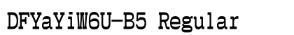DFYaYiW6U-B5 Regular preview