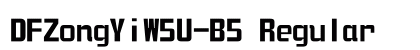 DFZongYiW5U-B5 Regular preview