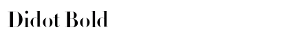 Didot Bold Font