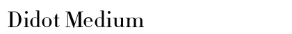 Didot Medium Font