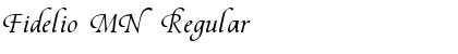Download Fidelio MN Font