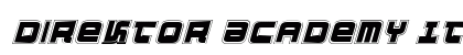 Direktor Academy Italic Italic preview