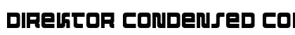 Direktor Condensed Condensed preview