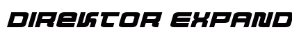 Direktor Expanded Italic Italic preview