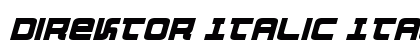 Direktor Italic Italic preview