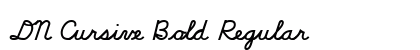 DN Cursive Bold Regular preview