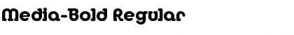 Media-Bold Regular Font